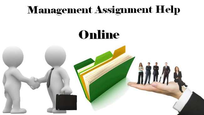 meaning of assignment management