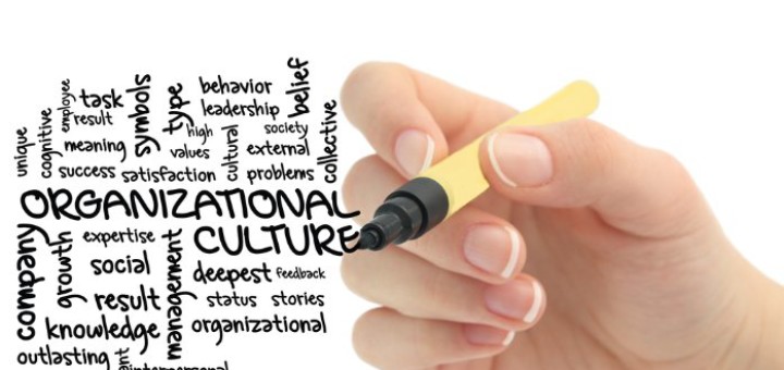 Organizational Culture