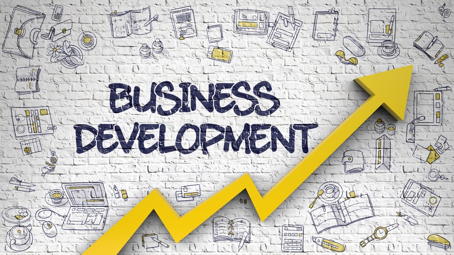 A Completed Guide Business Development Assignment Help Assignment 