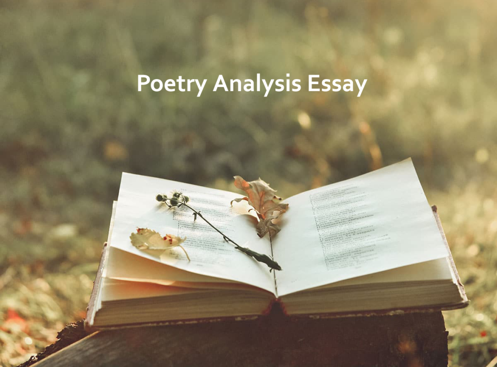 How To Analyse A Poem 